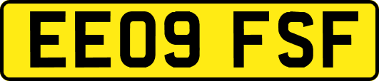 EE09FSF