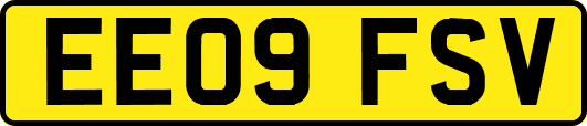 EE09FSV