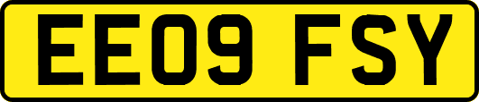 EE09FSY