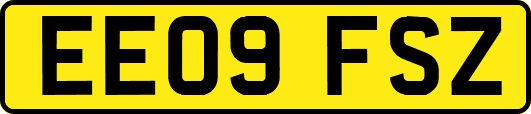 EE09FSZ