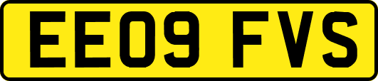 EE09FVS