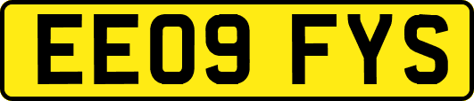 EE09FYS