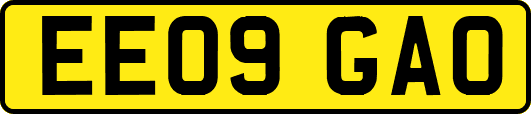 EE09GAO