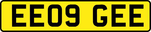 EE09GEE