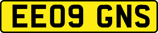 EE09GNS