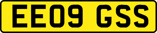 EE09GSS