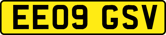 EE09GSV