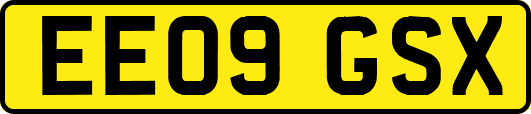 EE09GSX