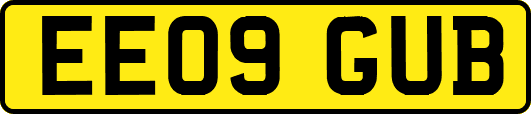 EE09GUB