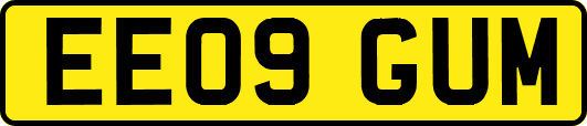 EE09GUM
