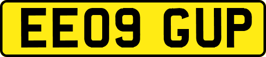 EE09GUP