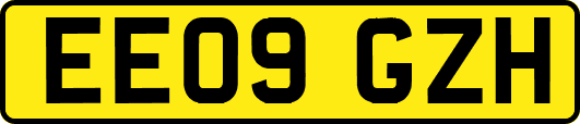 EE09GZH