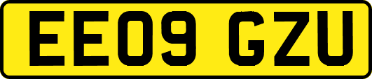 EE09GZU