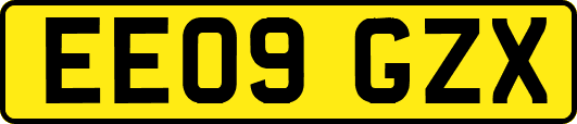 EE09GZX