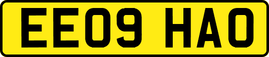 EE09HAO