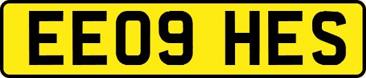EE09HES