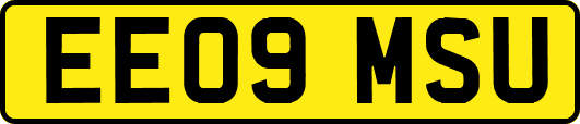EE09MSU