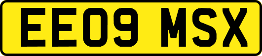 EE09MSX