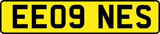 EE09NES