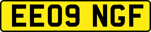 EE09NGF