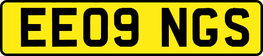 EE09NGS