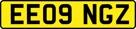 EE09NGZ