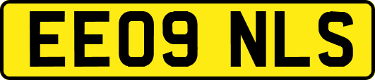 EE09NLS
