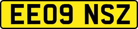 EE09NSZ