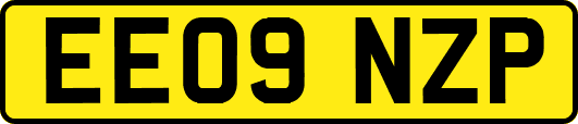 EE09NZP