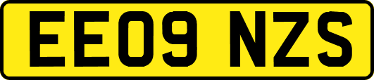 EE09NZS