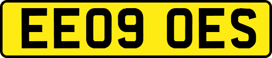 EE09OES