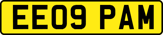 EE09PAM