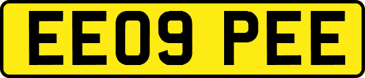 EE09PEE