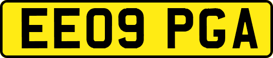 EE09PGA