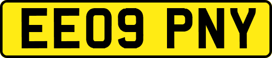 EE09PNY