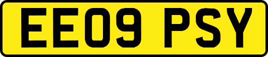EE09PSY
