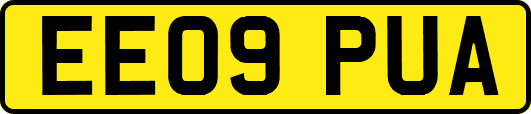 EE09PUA