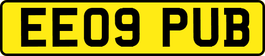 EE09PUB