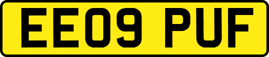 EE09PUF
