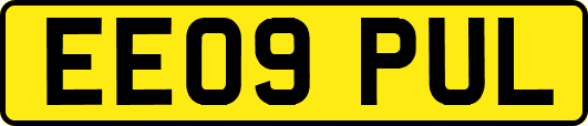 EE09PUL