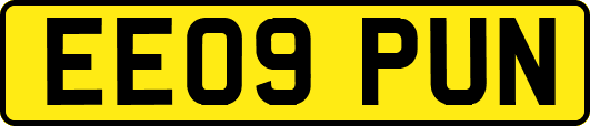 EE09PUN