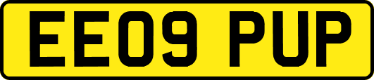 EE09PUP
