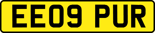 EE09PUR