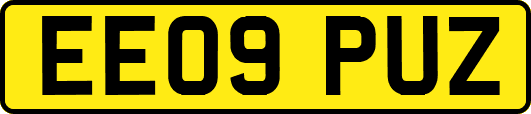 EE09PUZ