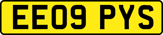 EE09PYS