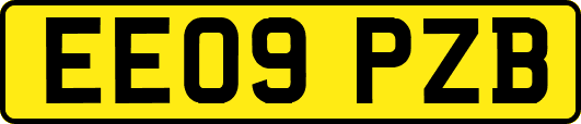 EE09PZB