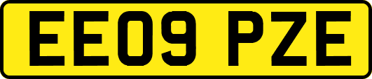 EE09PZE