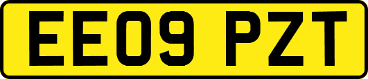 EE09PZT