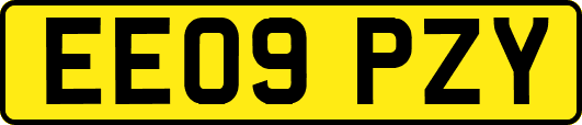 EE09PZY