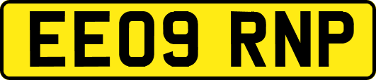 EE09RNP
